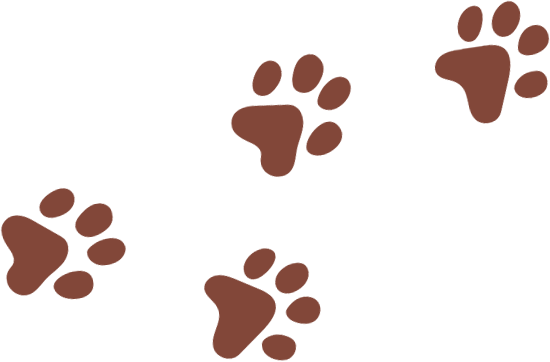paw_prints1