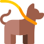 pet